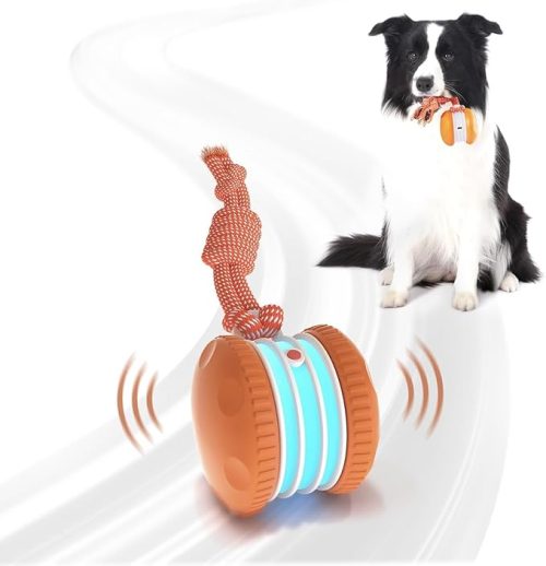 interactive-dog-toys