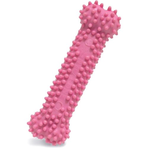 nylabone-textured-teething-bone-chew-toy-for-puppies