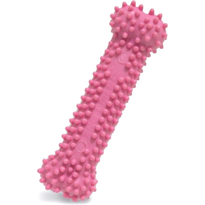 nylabone-textured-teething-bone-chew-toy-for-puppies