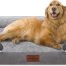 comfort-expression-waterproof-orthopedic-dog