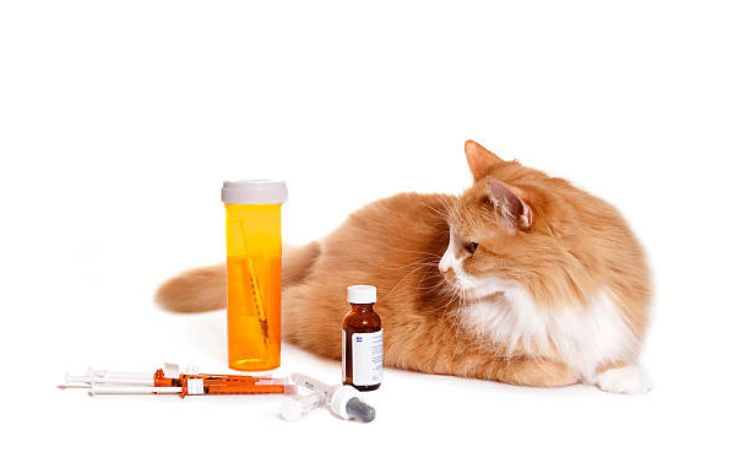 Oral Antibiotics