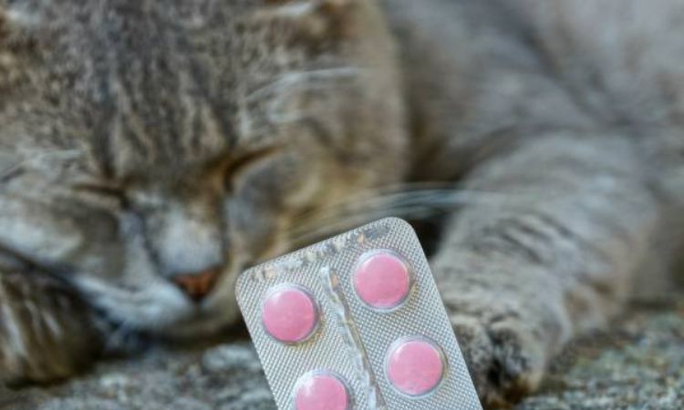 Antiviral Medications