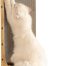 FUKUMARU Cat Scratcher