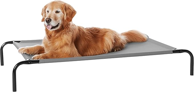 Basics Cooling Elevated Dog Bed with Metal Frame