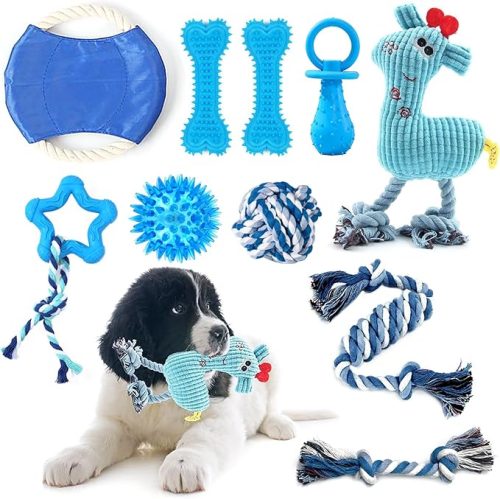 SLE Dog Chew Toys Set