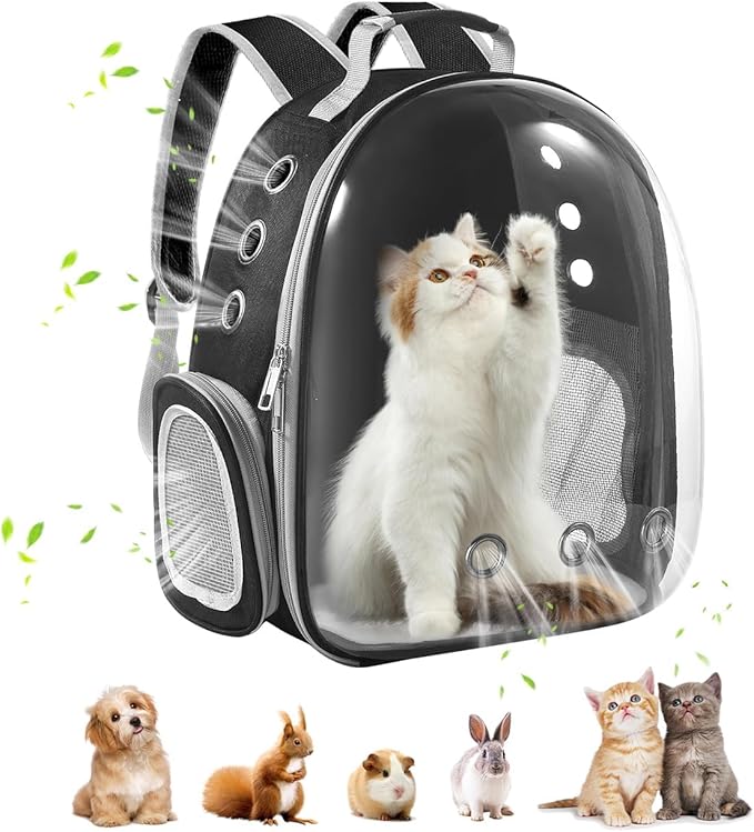 trassle-backpack-carrying-transparent-breathable