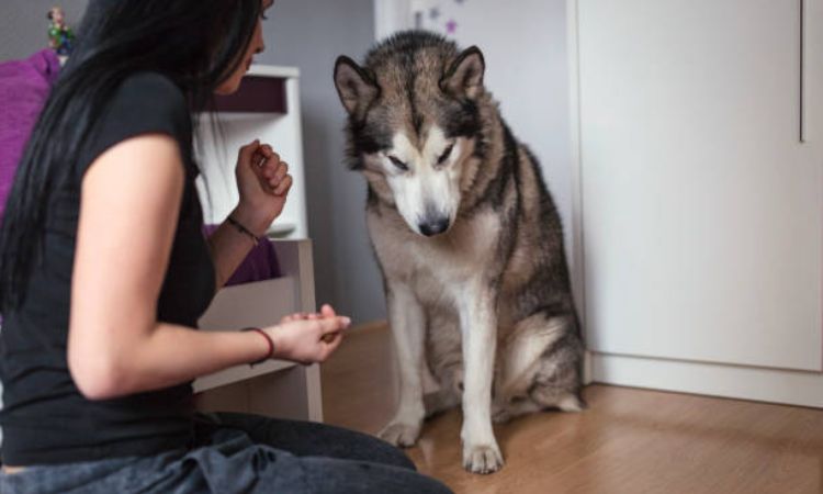 Managing Weight and Preventing Obesity Alaska