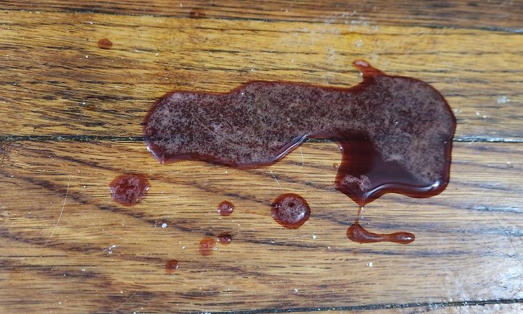 Common Causes of Blood in Cat Vomit