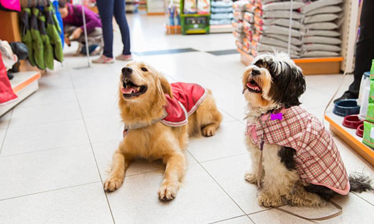 How to Adopt a Dog Through Petsmart