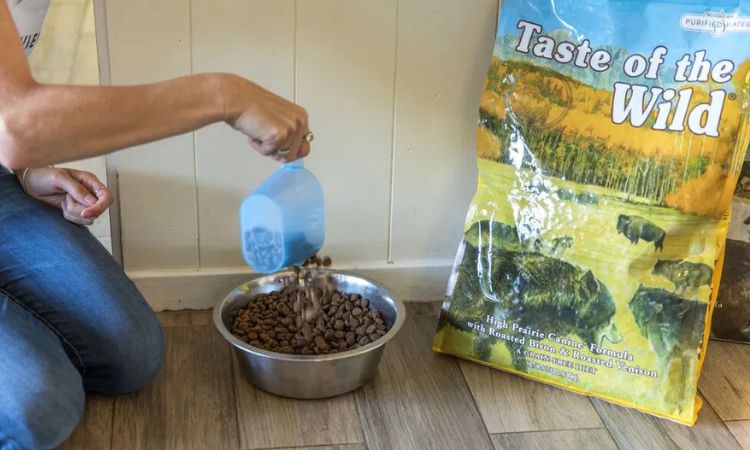 taste of the wild dog food