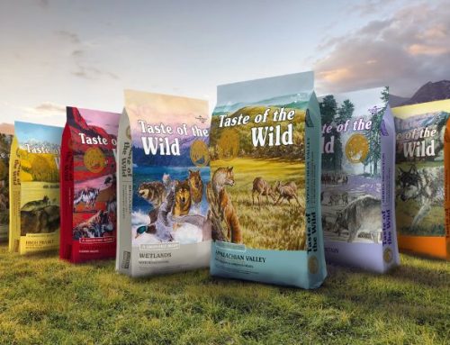 Taste of the Wild Dog Food Review: Is Pacific Stream Salmon Right for Your Dog?