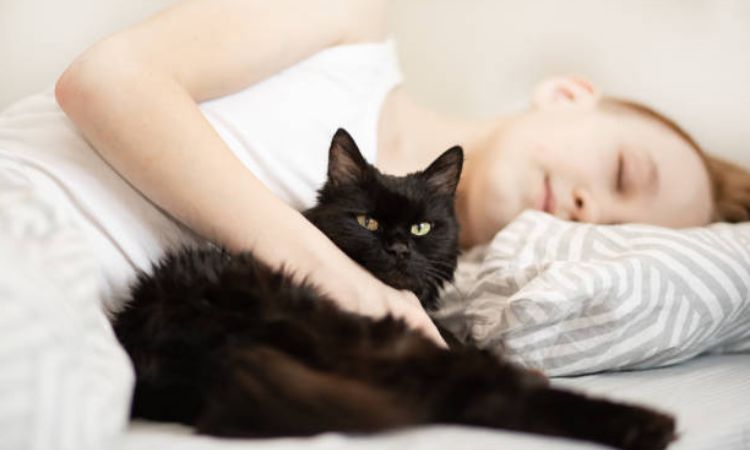 how to get your cat to sleep with you