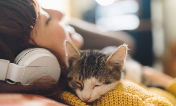 How to Get Your Cat to Sleep with You