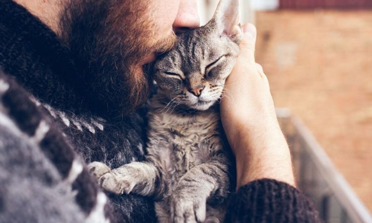 signs of a dying newborn cat
