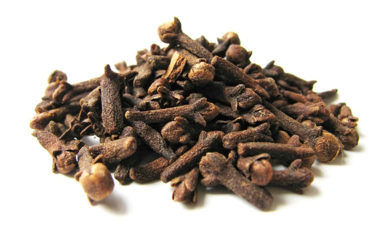 Clove