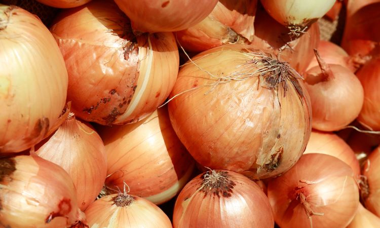 Onion