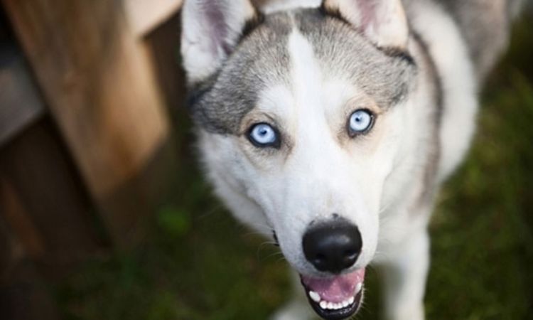 Long-Term Commitment