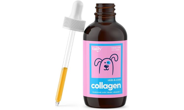 Collagen