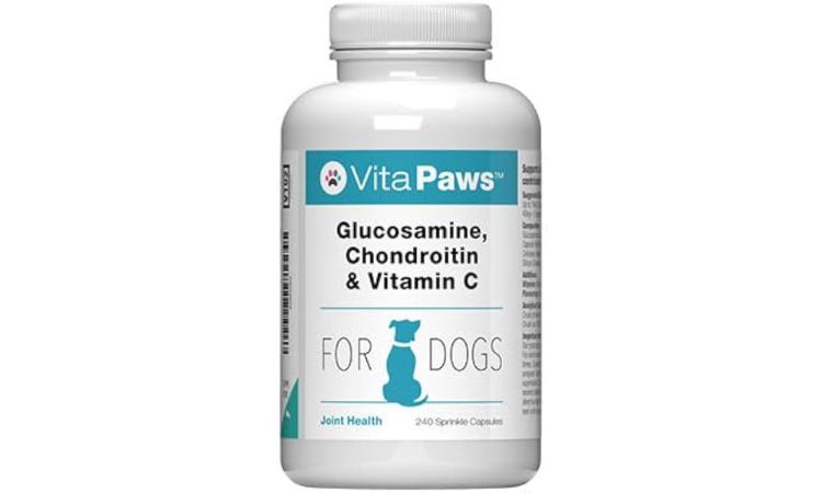 Glucosamine & Chondroitin