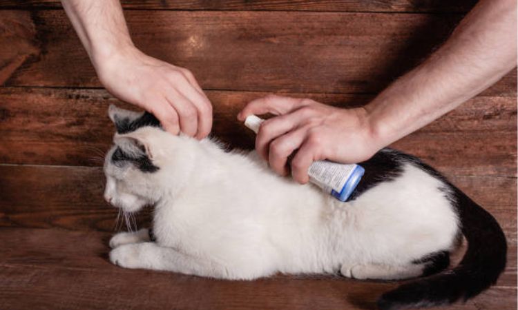 Herbal Sachets and Sprays