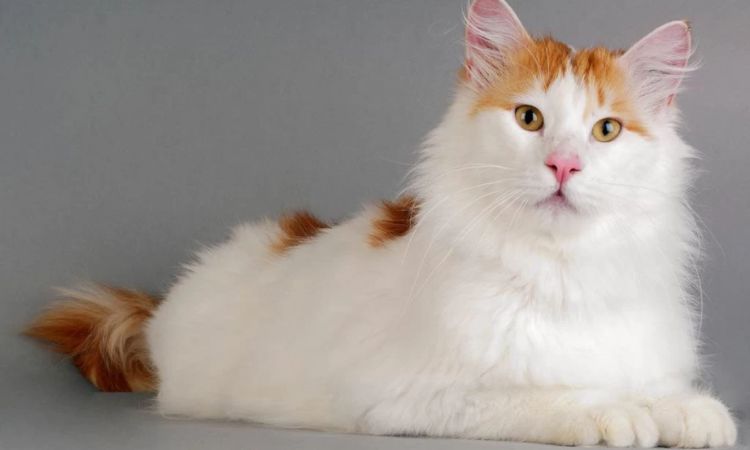 Cute and Quirky Names