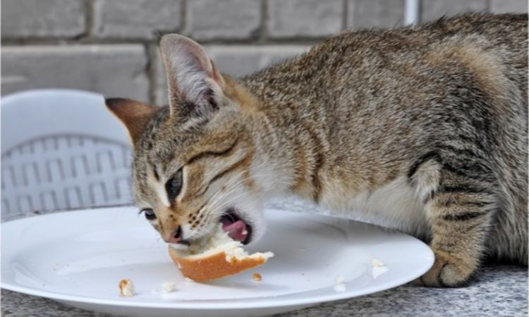 Food and Drink-Inspired Names