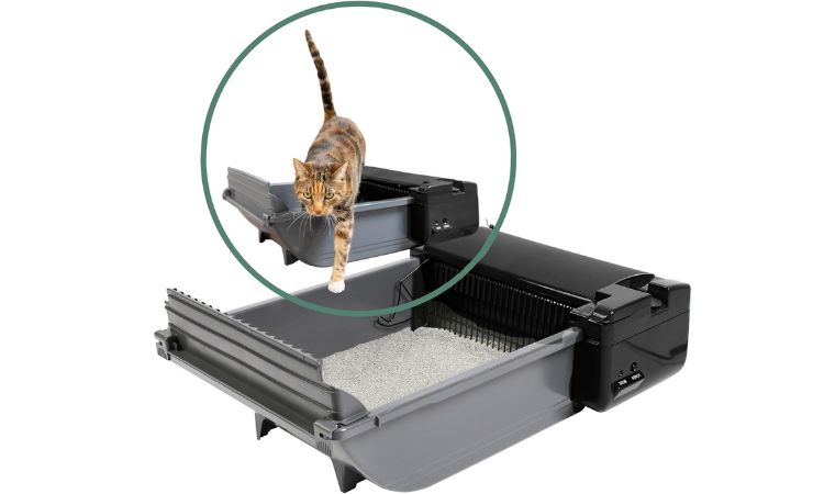 Pet Zone Smart Scoop