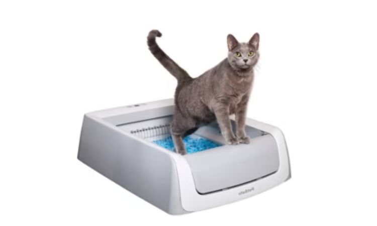 PetSafe ScoopFree Complete Plus