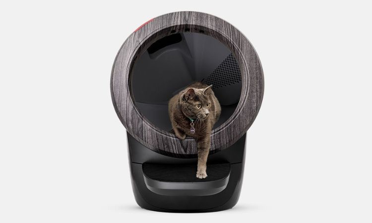 Whisker Litter-Robot 4