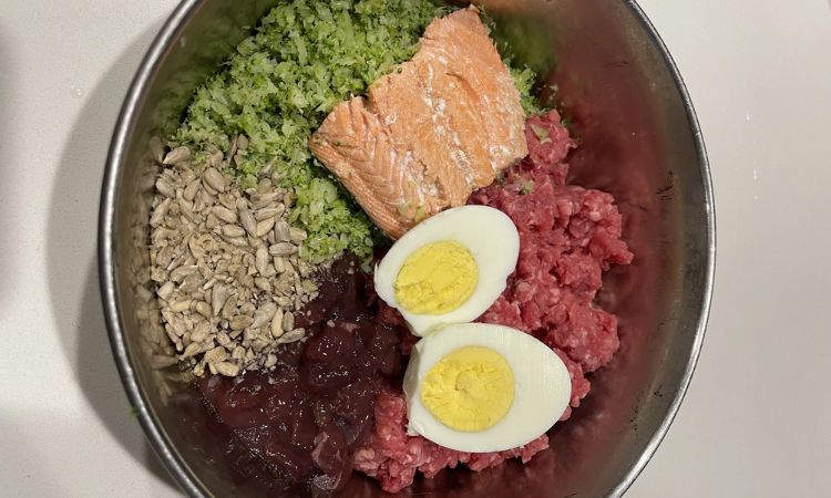 Homemade Vet-Approved Recipes