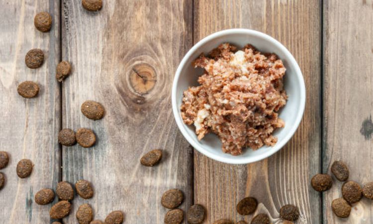 Overall Best Vet-Recommended Formulas