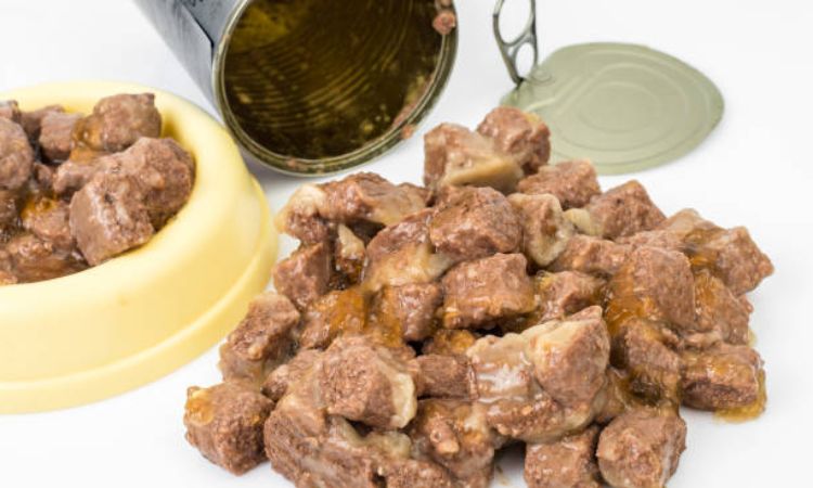 Best Canned Dog Food for Sensitive Stomach and Diarrhea