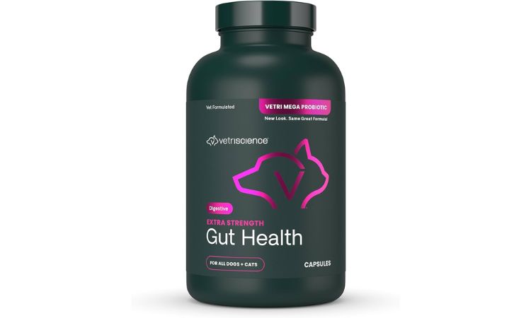 VetriScience Probiotic Supplement