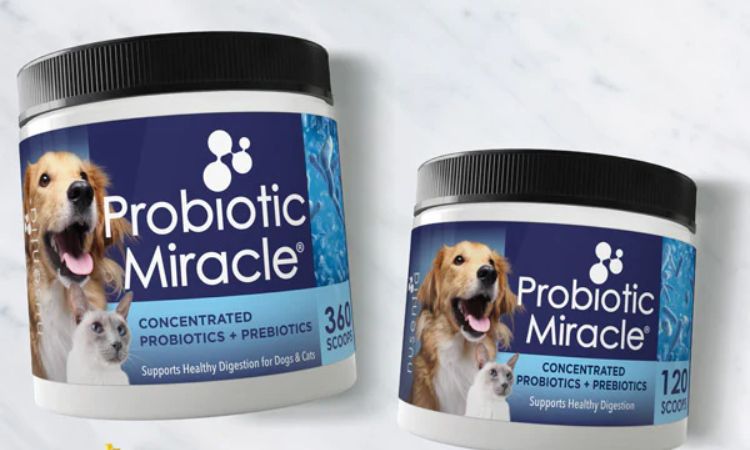 Nusentia Probiotic Miracle
