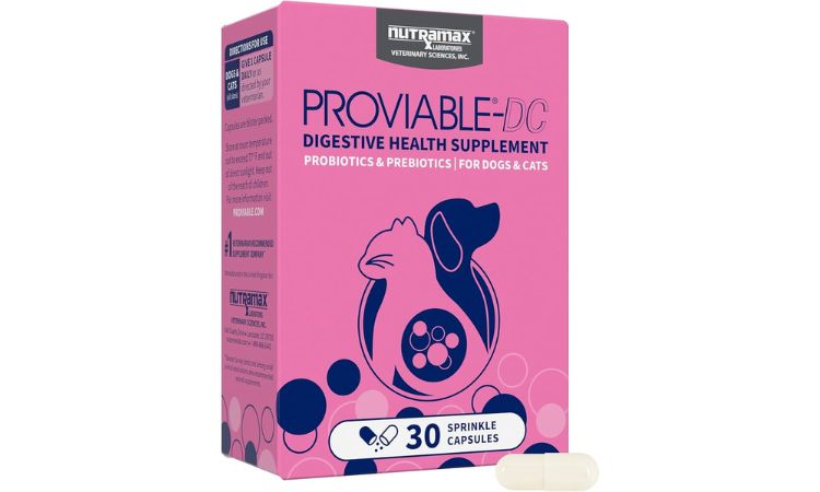Nutramax Proviable-DC