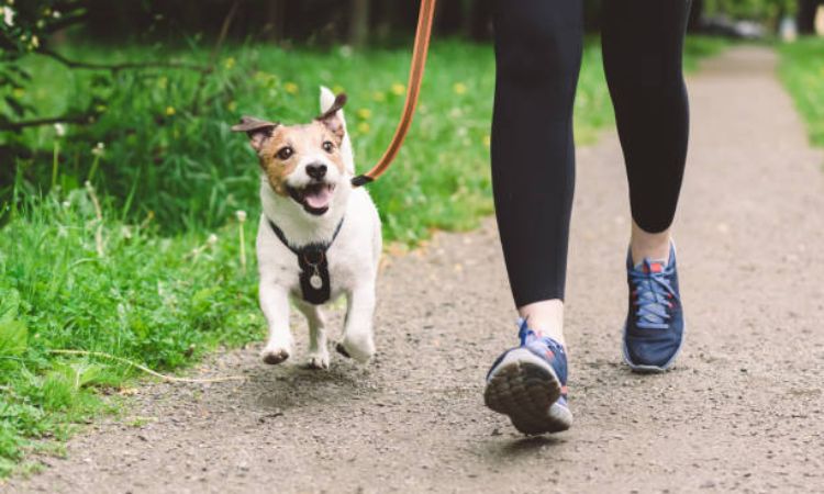 Non-Medication Approaches to Enhance Anxiety Relief