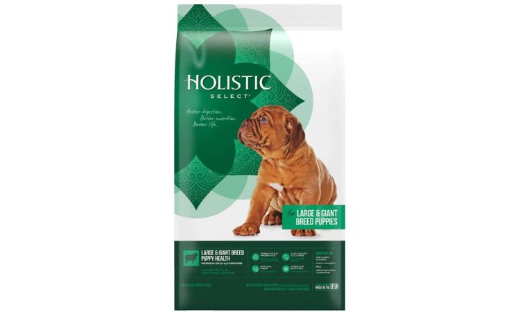 Holistic Select Large & Giant Breed Lamb Meal & Oatmeal