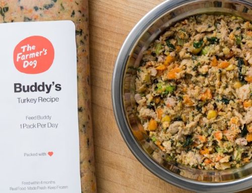 Top 10 Grain-Free Large Breed Puppy Food Picks for Healthy Growth