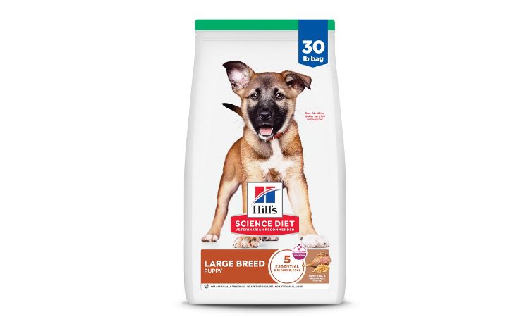Hill's Science Diet Large Breed Puppy Lamb & Brown Rice