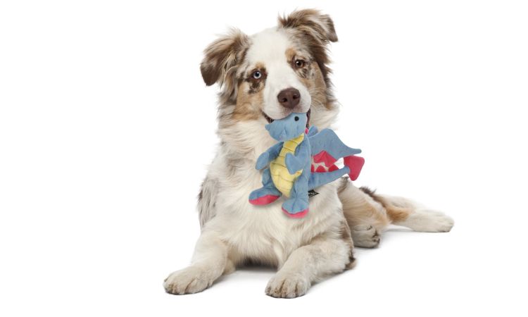 GoDog Dragons with Chew Guard Technology