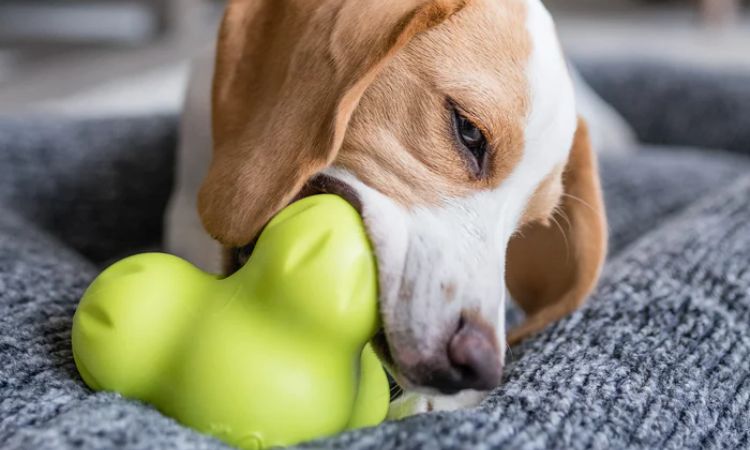 West Paw Zogoflex Tux Dog Toy