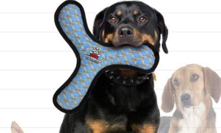 Tuffy Mega Boomerang