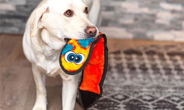 Outward Hound Invincible Snake