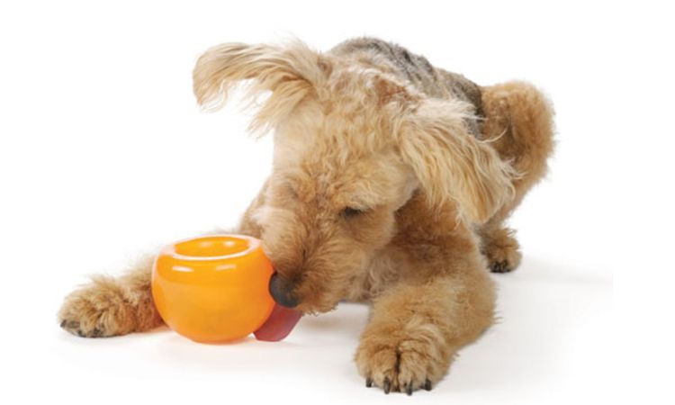 Planet Dog Orbee-Tuff Plush