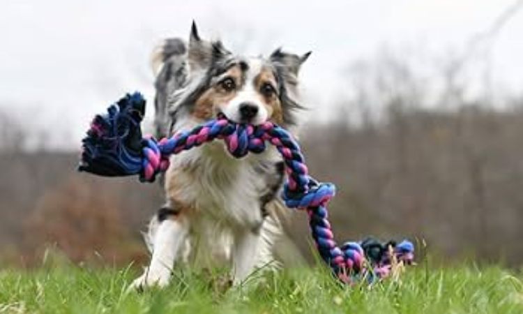 Mammoth Flossy Chews Cottonblend