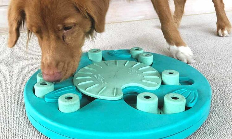 Nina Ottosson Durable Plush Puzzle Toy