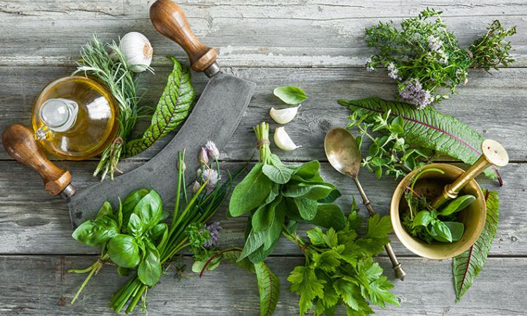 Strong Herbs: Mint, Rosemary, Basil
