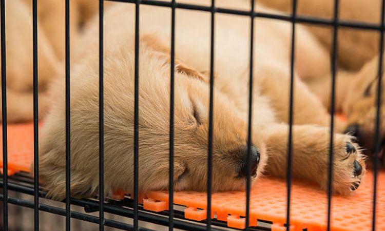 Establish a Consistent Bedtime Routine