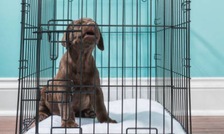 Respond Calmly to Crying