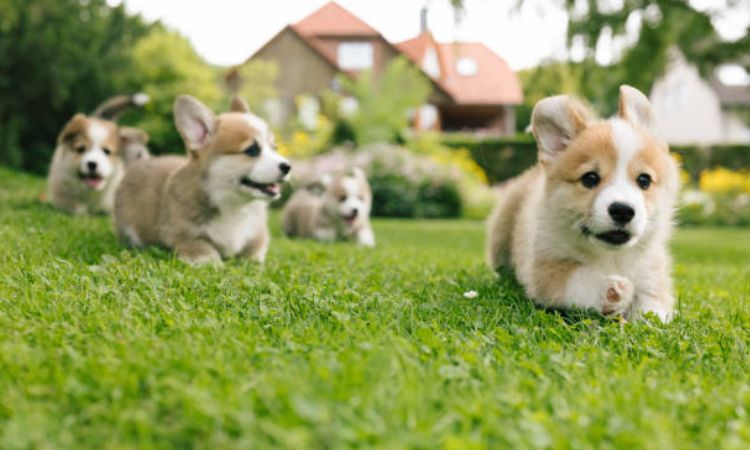 6–12 Months: Teenage Phase Challenges